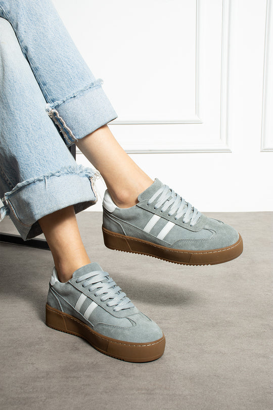 Axis Gray X