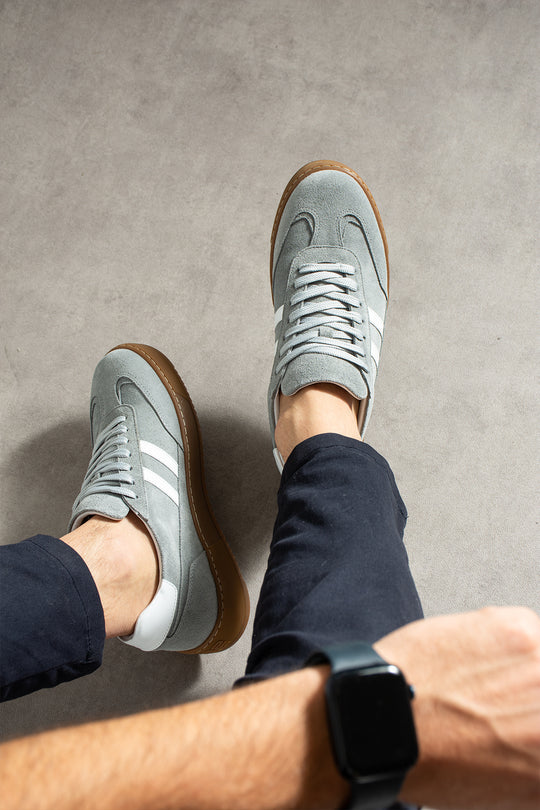 Axis Gray