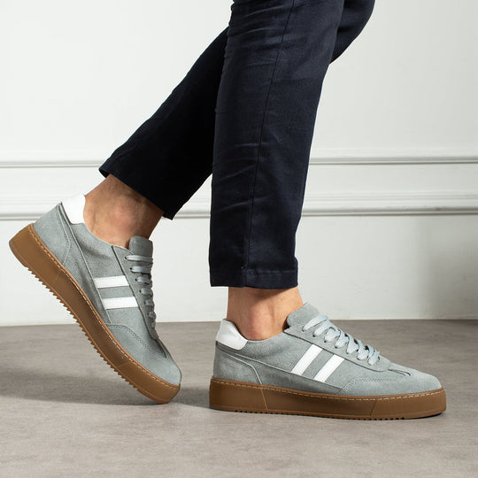 Axis Gray